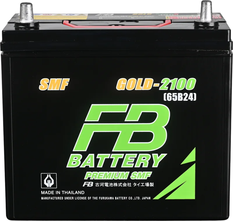 FB GOLD 2100L (65B24L)