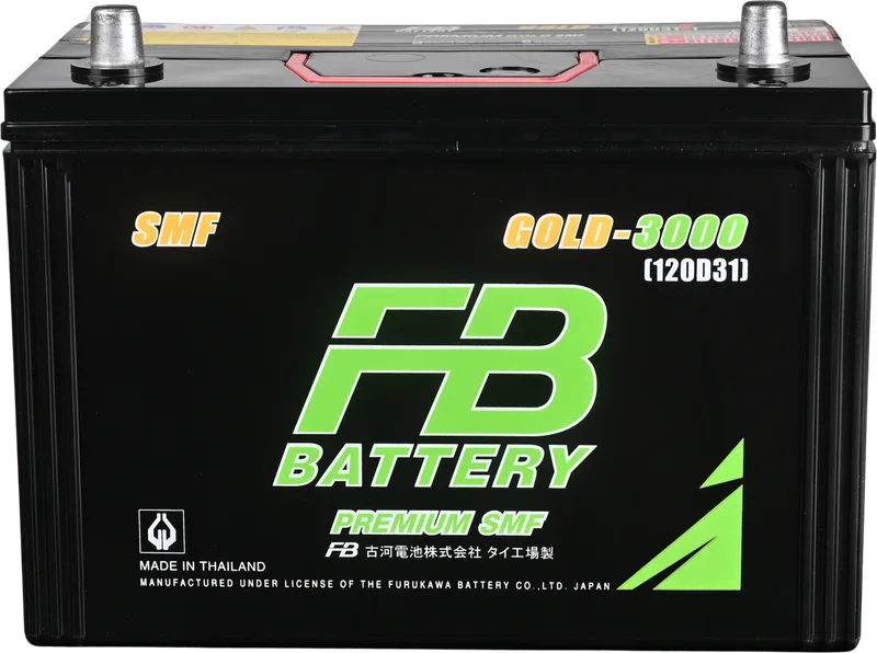 FB GOLD 3000L (120D31L)