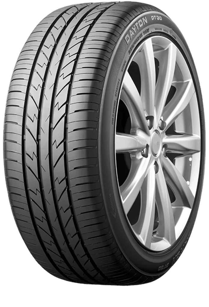 DAYTON DT30 175/65R15