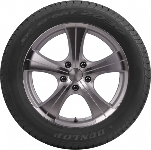 แก้มยาง SP SPORT 2030
