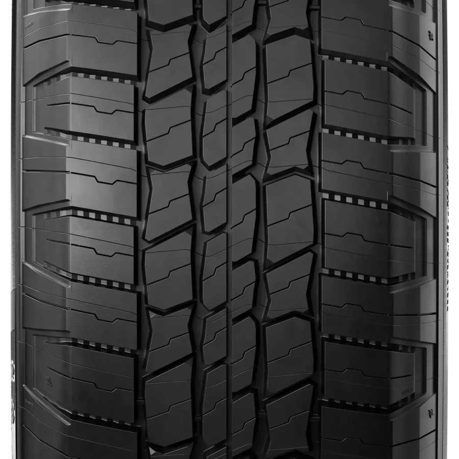 ภาพซูมดอกยาง LTX TRAIL