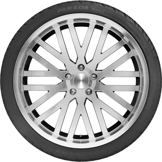แก้มยาง PARADA SPEC-X PA02